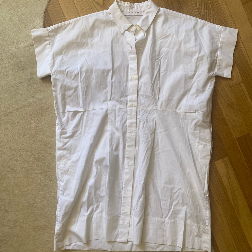 Everlane Shirt dress